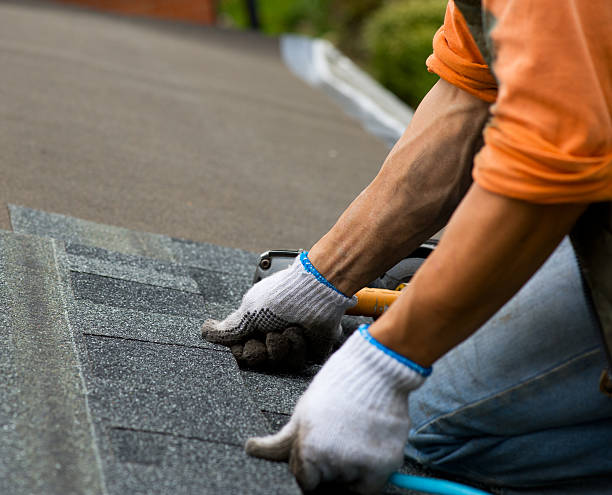 Best Storm Damage Roof Repair  in Kalifornsky, AK
