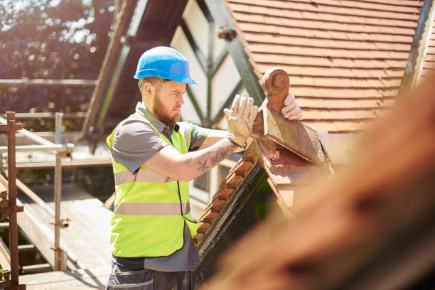 Best Roof Gutter Cleaning  in Kalifornsky, AK